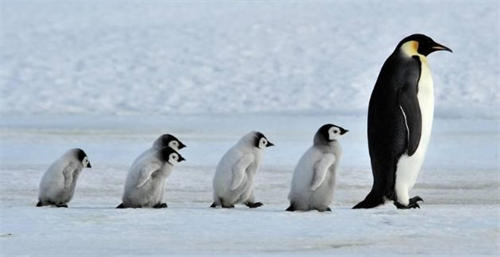 3000字分享如何做成一个排名第一的QQ群? 2884917014.png