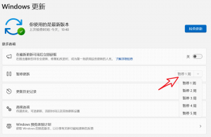 Windows暂停更新近74万年,绝对靠谱!-根博客 - 专注于网络资源分享与学习的博客网,努力打造全国最优质的免费网络资源分享平台。